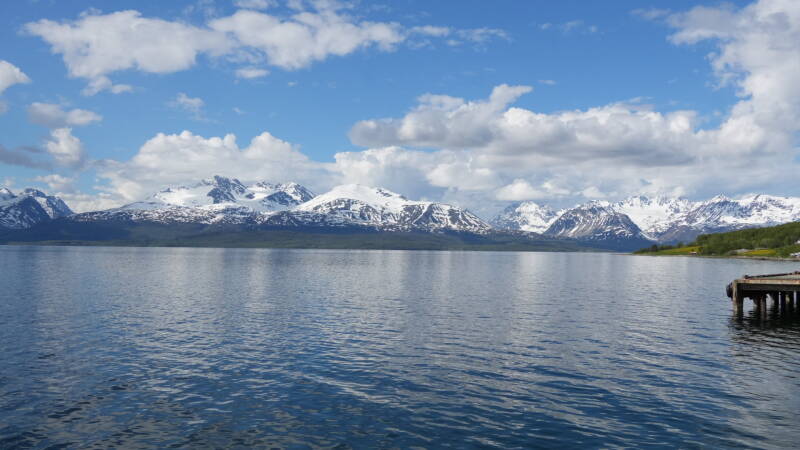 dsc00667-standard.jpg