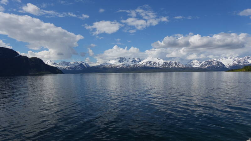 dsc00675-standard.jpg