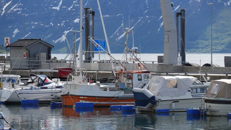 dsc00677-standard.jpg