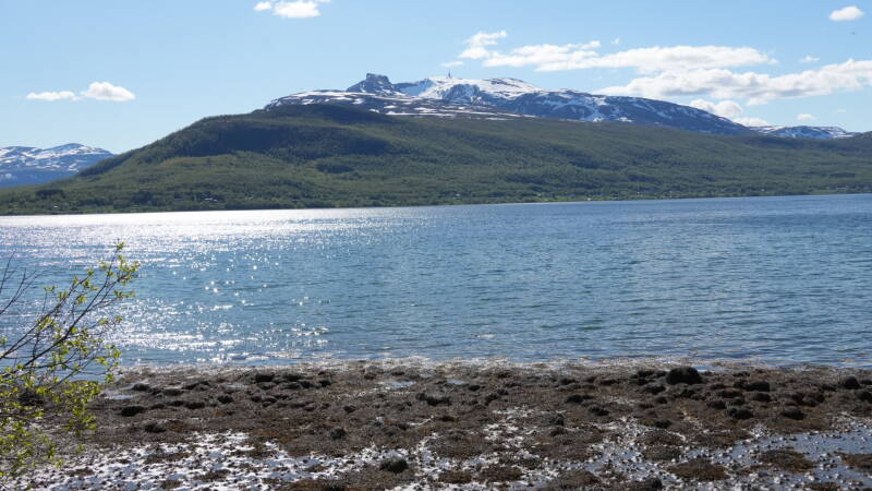 dsc00703-standard-8z3ubo.jpg