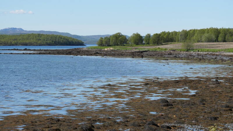 dsc00706-standard-idyeqg.jpg