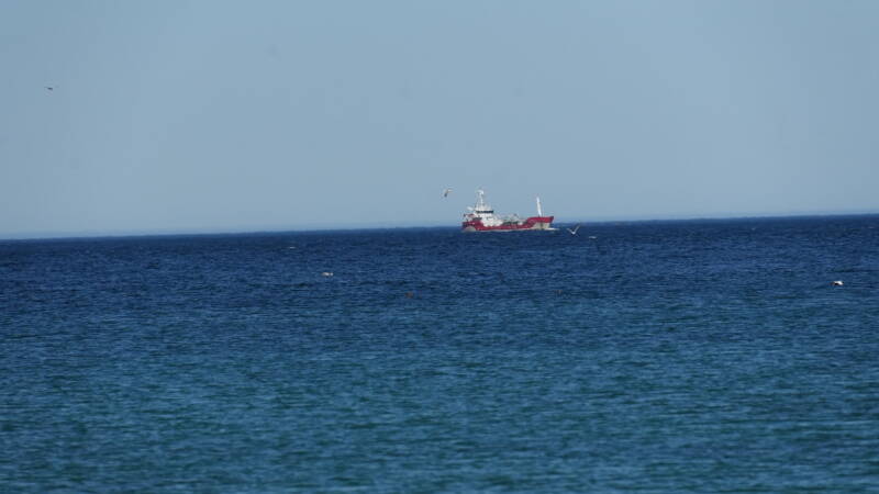 dsc00719-standard.jpg