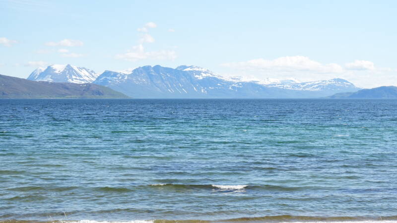 dsc00741-standard.jpg