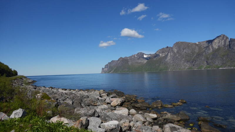 dsc00774-standard.jpg