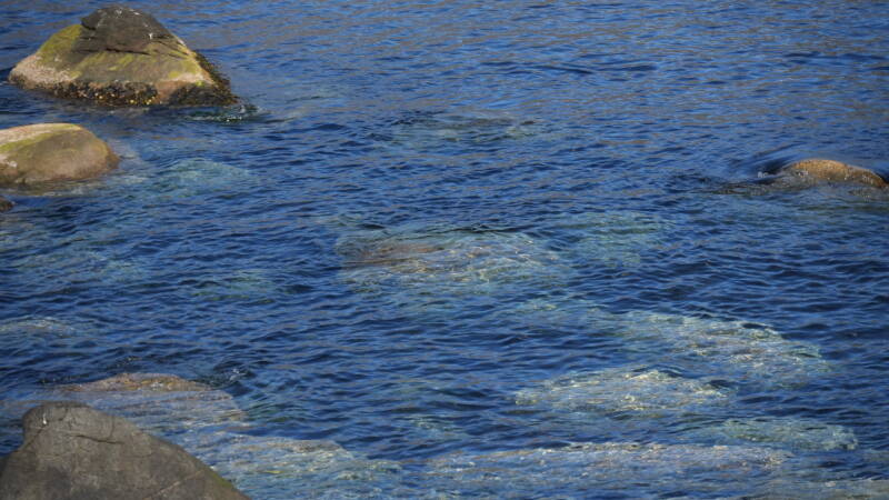 dsc00776-standard.jpg