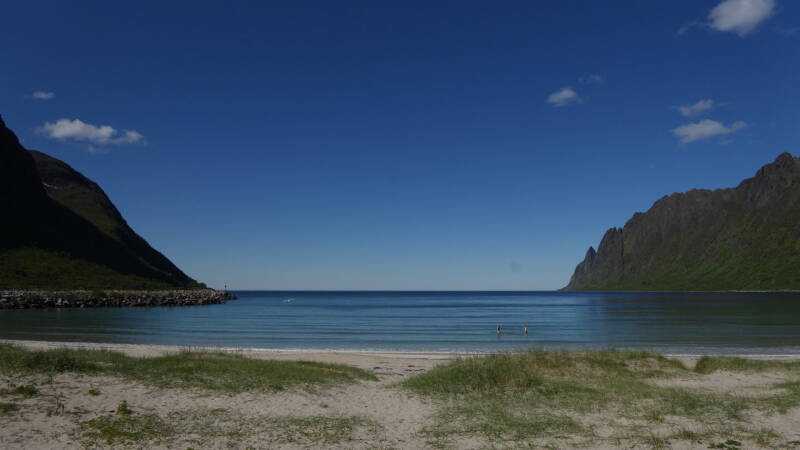 dsc00784-standard.jpg