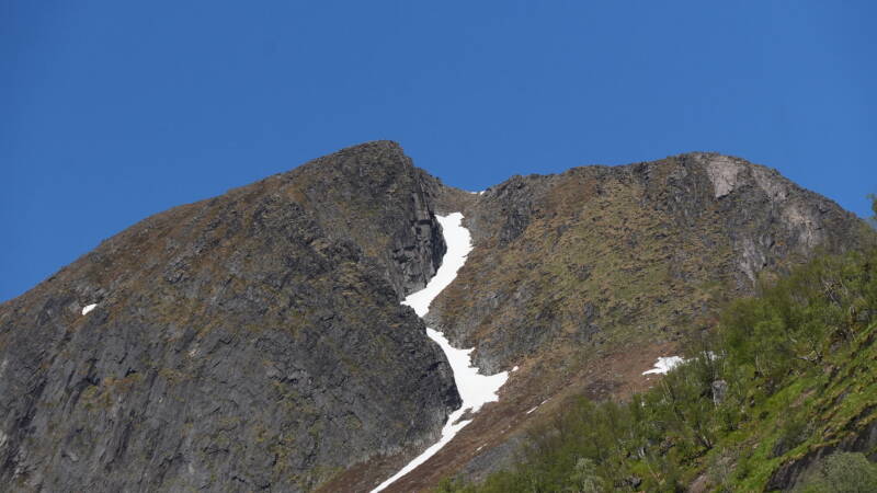 dsc00808-standard.jpg