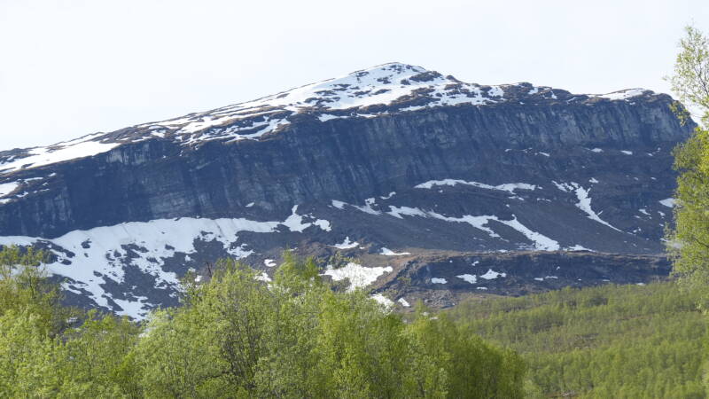 dsc00825-standard.jpg
