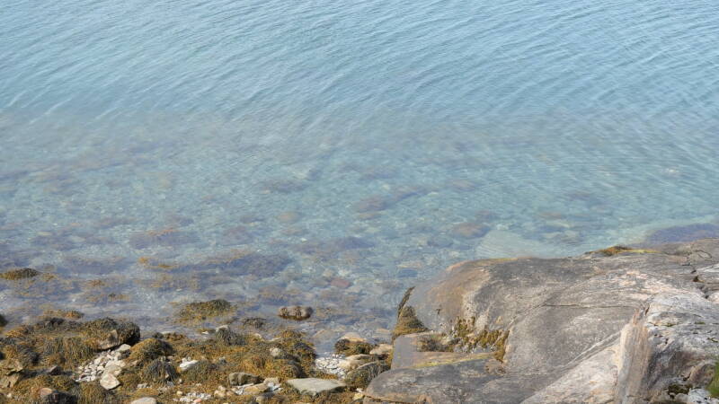 dsc00839-standard.jpg