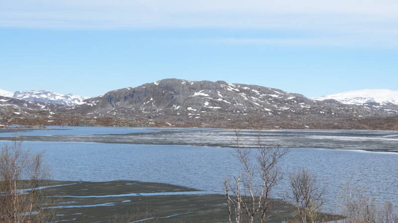 dsc00845-standard.jpg