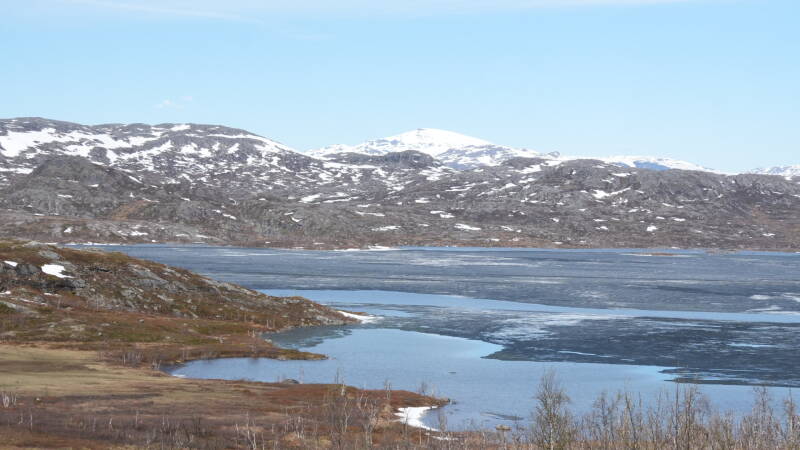 dsc00855-standard.jpg