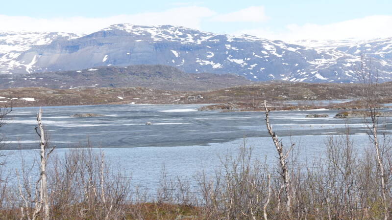 dsc00856-standard.jpg