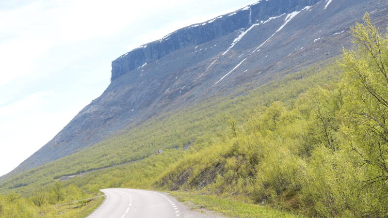 dsc00867-standard.jpg
