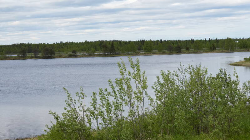 dsc00881-standard.jpg