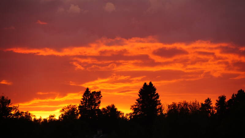 dsc00891-standard.jpg