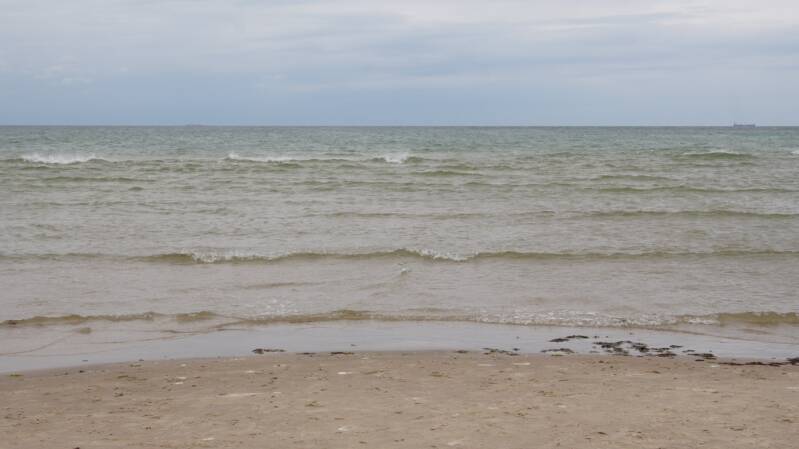 dsc00951-standard-2qmjvd.jpg