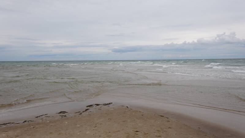 dsc00955-standard.jpg