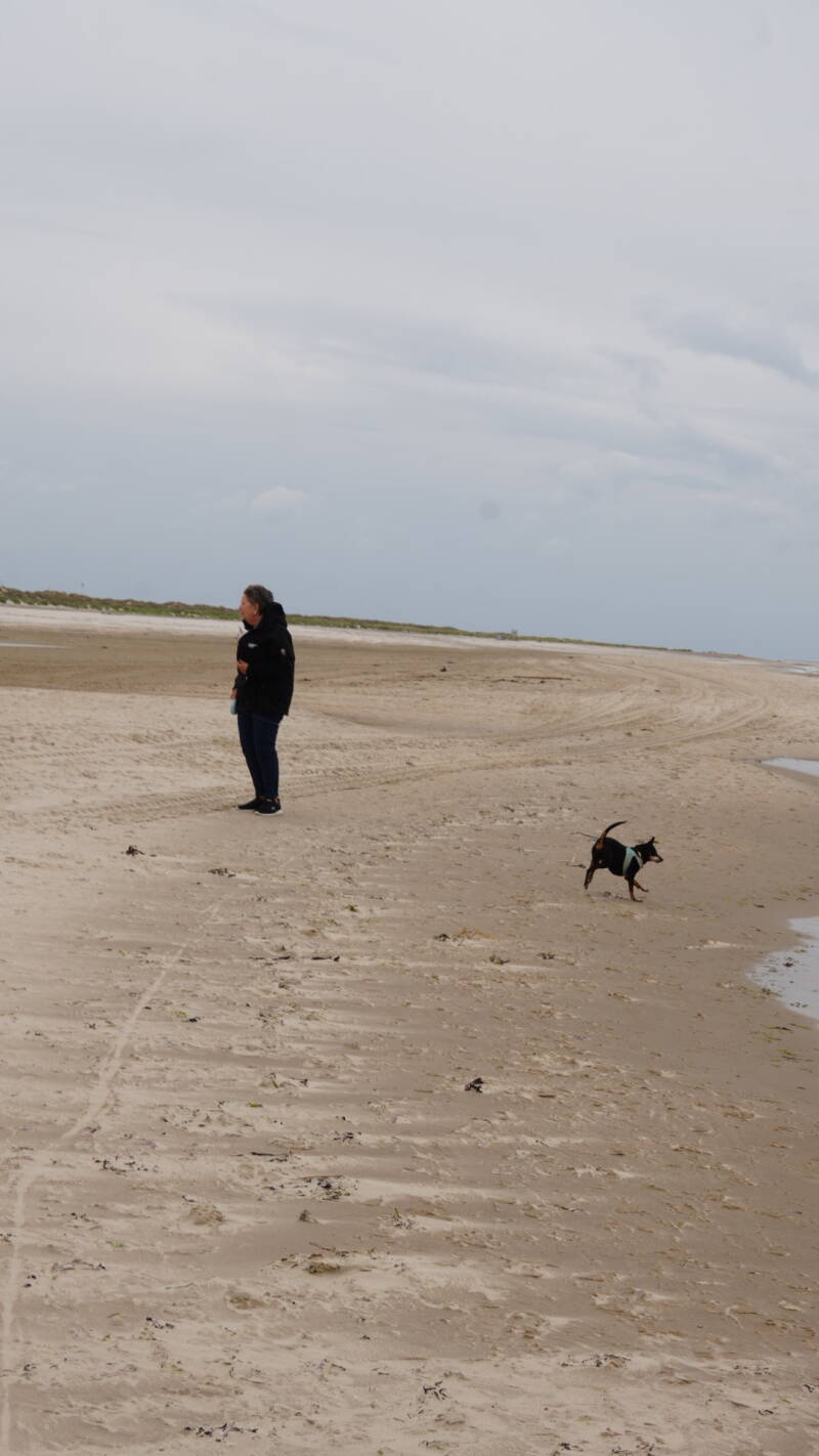 dsc00965-standard-q8cy4q.jpg