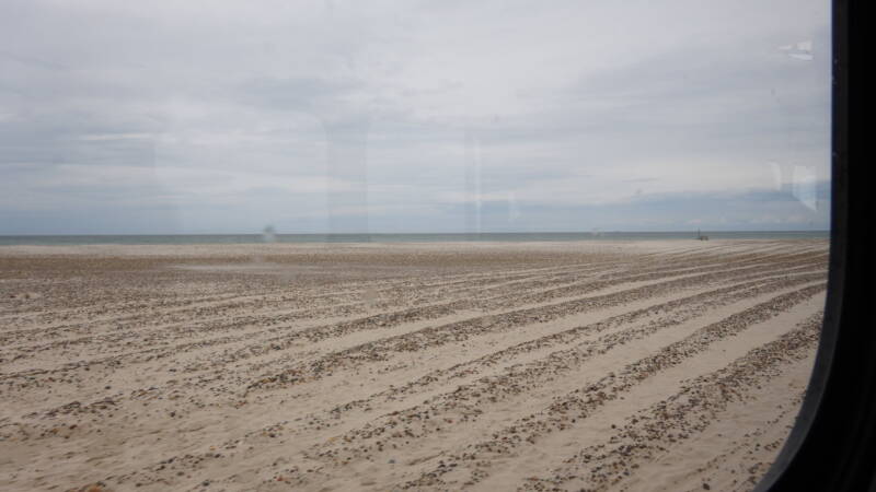 dsc00980-standard.jpg