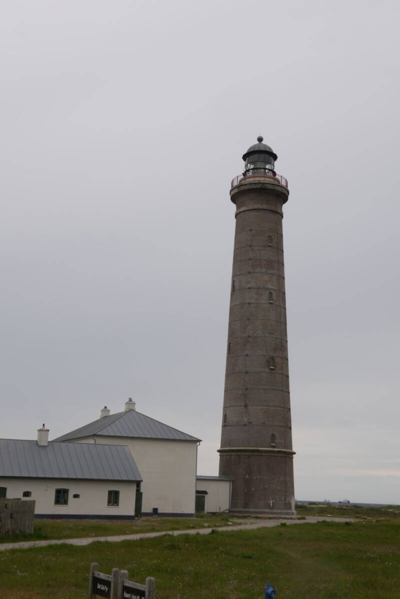 dsc00983-standard.jpg