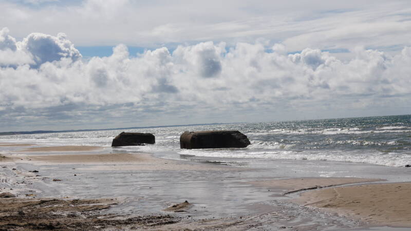 dsc00988-standard.jpg