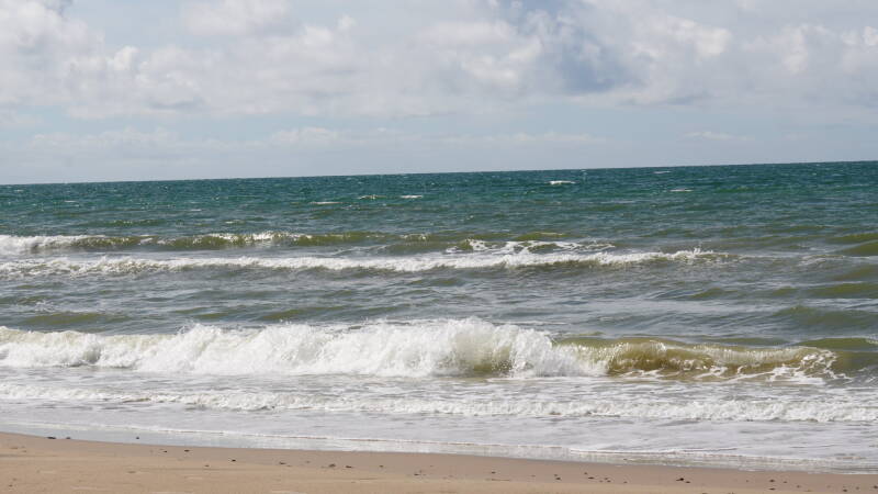 dsc00989-standard.jpg