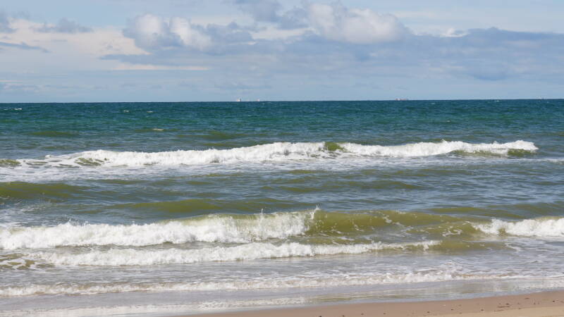 dsc00990-standard.jpg