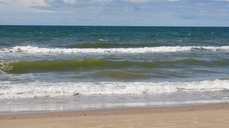 dsc00991-standard.jpg