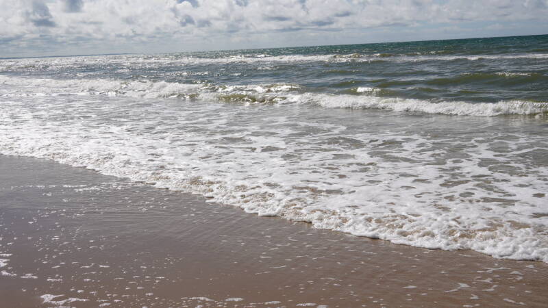 dsc00996-standard.jpg