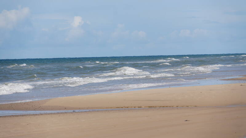 dsc00999-standard.jpg