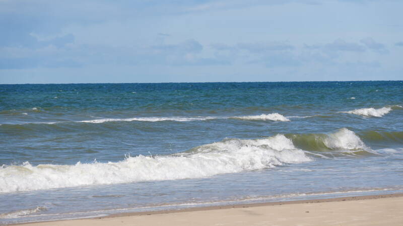 dsc01000-standard.jpg