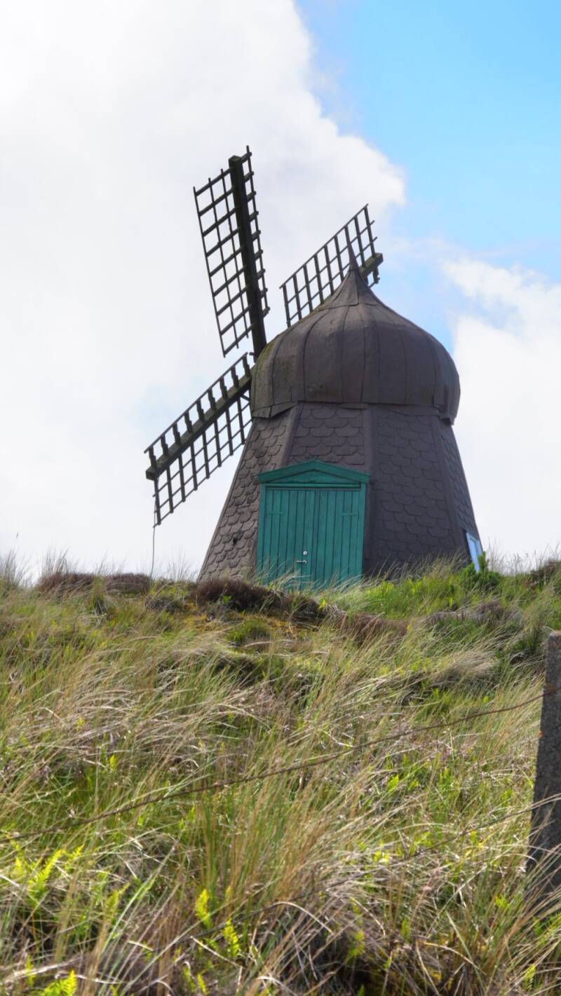 dsc01007-standard.jpg