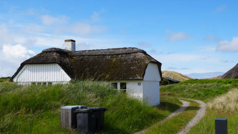 dsc01010-standard.jpg