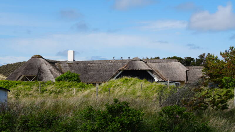 dsc01012-standard.jpg