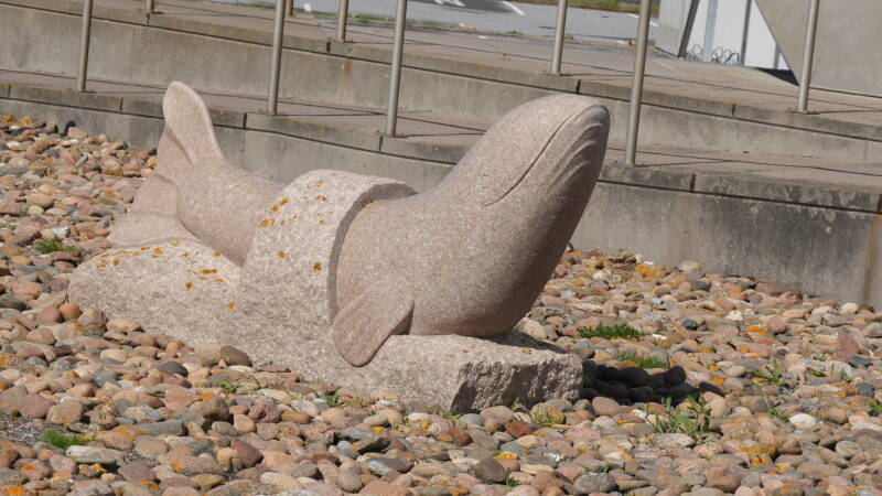 dsc01015-standard.jpg