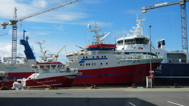 dsc01023-standard.jpg
