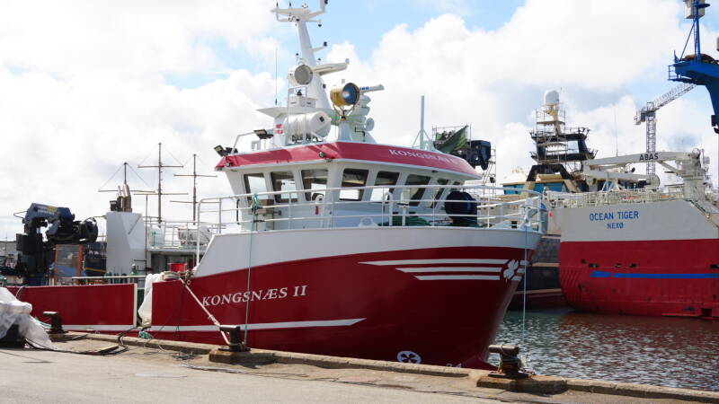 dsc01025-standard.jpg
