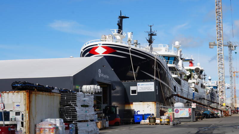 dsc01026-standard.jpg