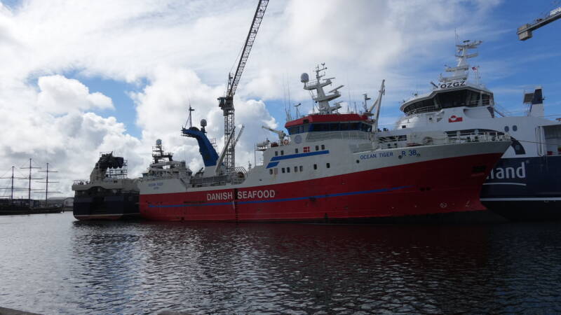 dsc01031-standard.jpg