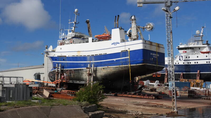 dsc01034-standard.jpg