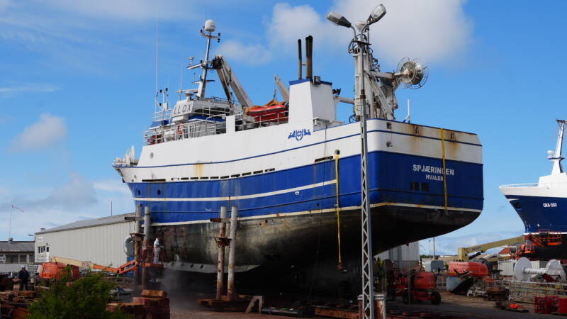 dsc01036-standard.jpg