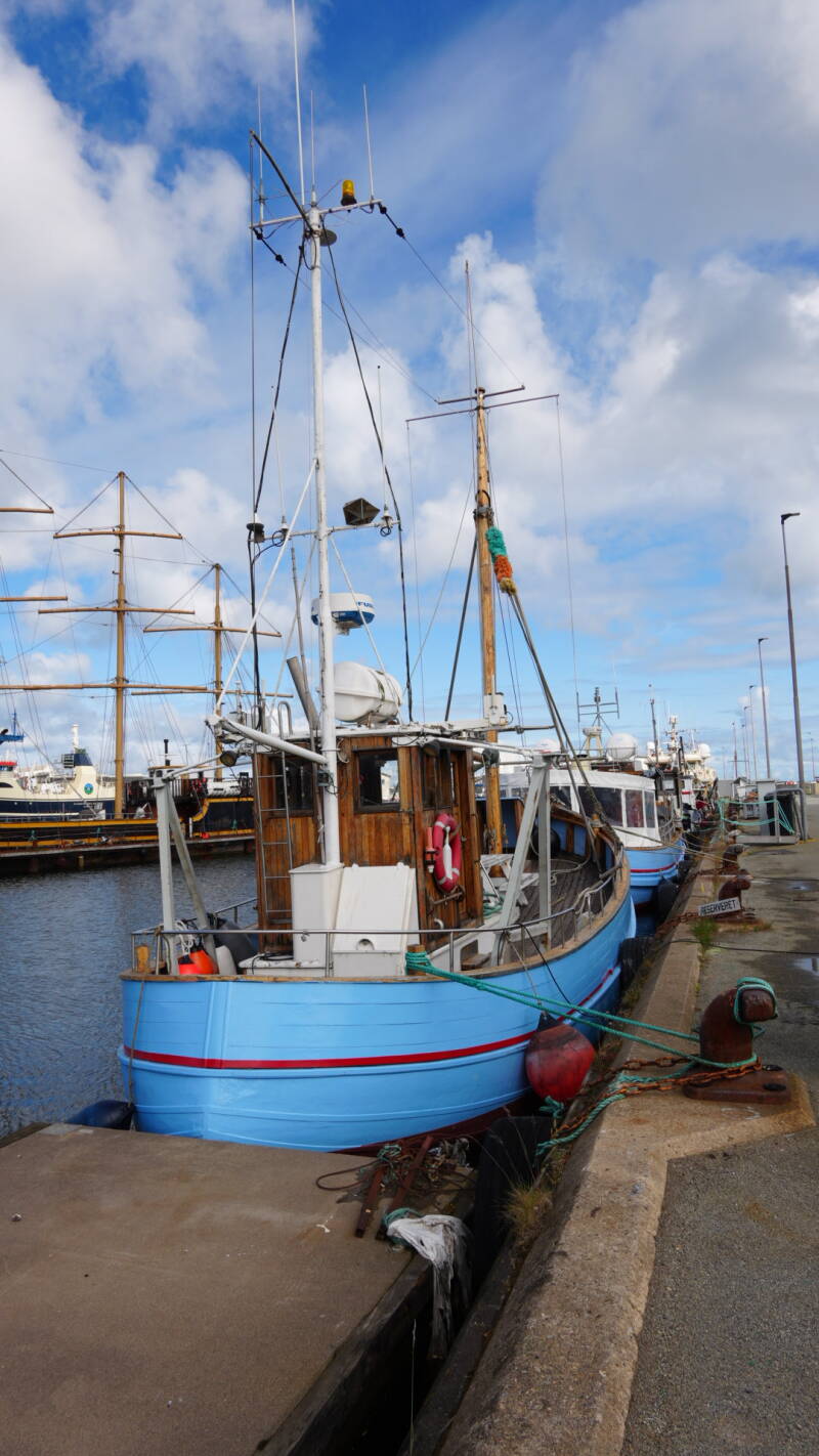 dsc01038-standard.jpg