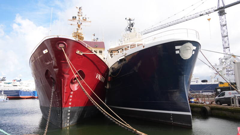 dsc01052-standard.jpg