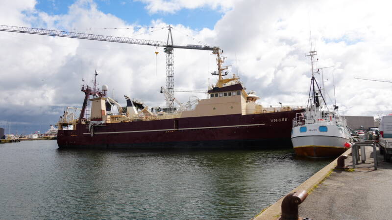 dsc01061-standard.jpg