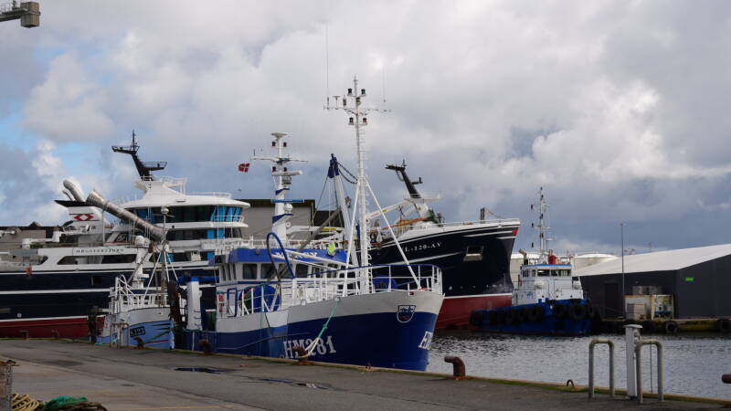 dsc01067-standard.jpg