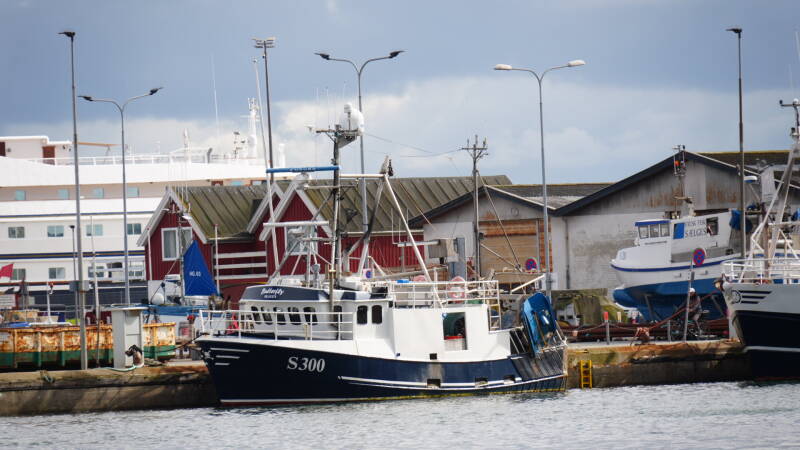 dsc01071-standard.jpg
