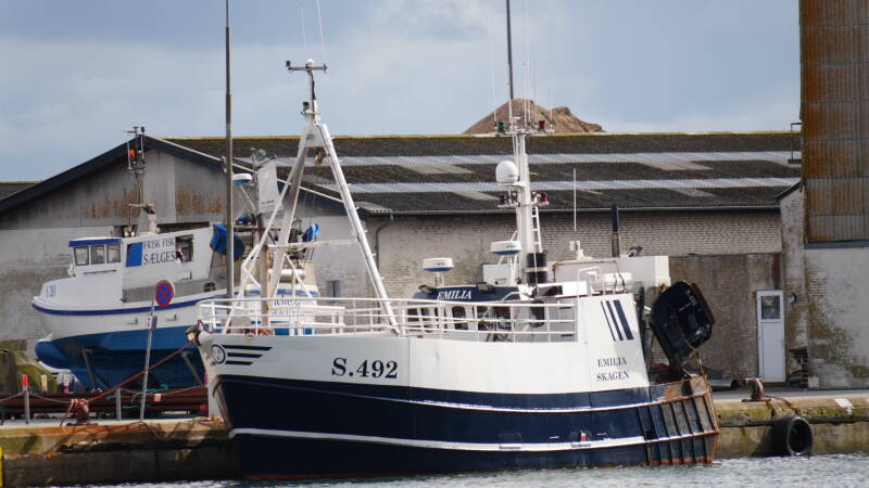 dsc01072-standard.jpg