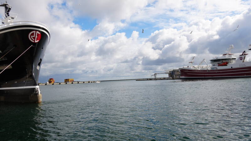 dsc01093-standard.jpg