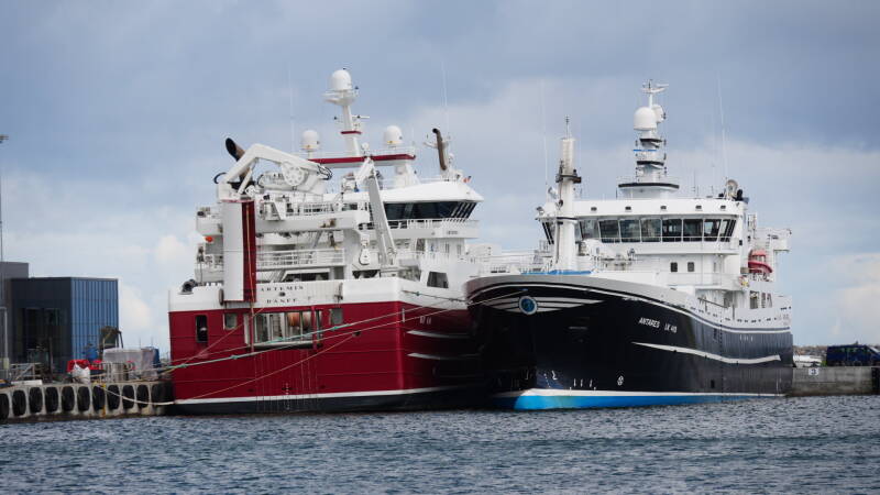 dsc01094-standard.jpg