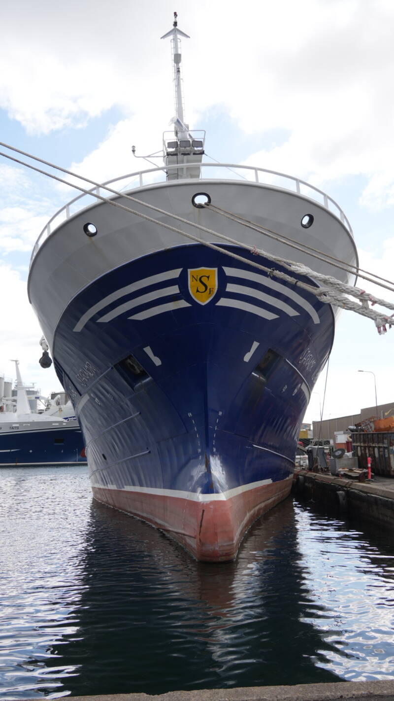 dsc01095-standard.jpg